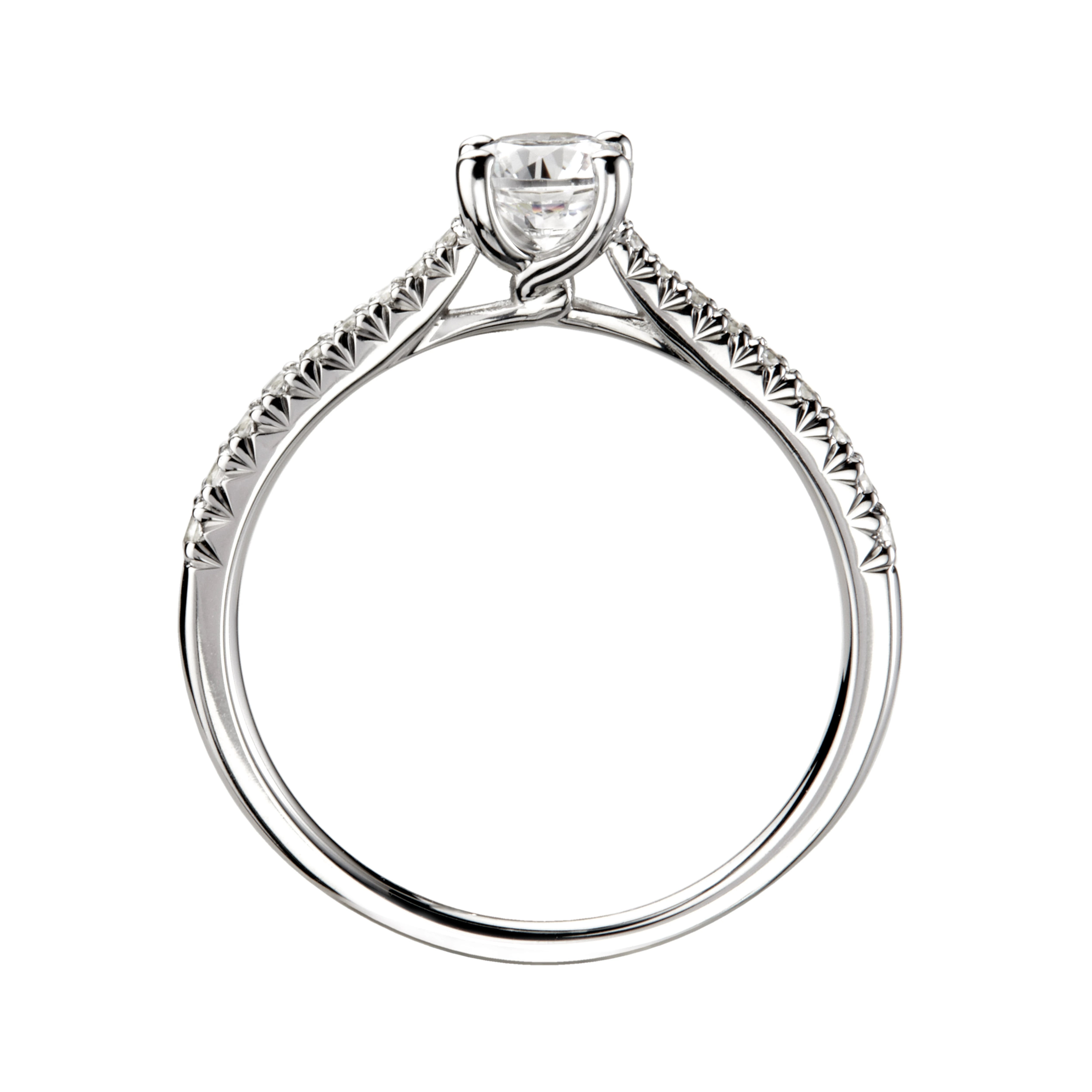 #metal_18k white gold